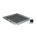 Rice Lake 350-10-5 Single Ramp Portable Wheelchair Scale RL-150703